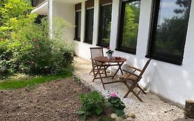 Ferienwohnung Kiefer - Ruheoase mitten im Grünen